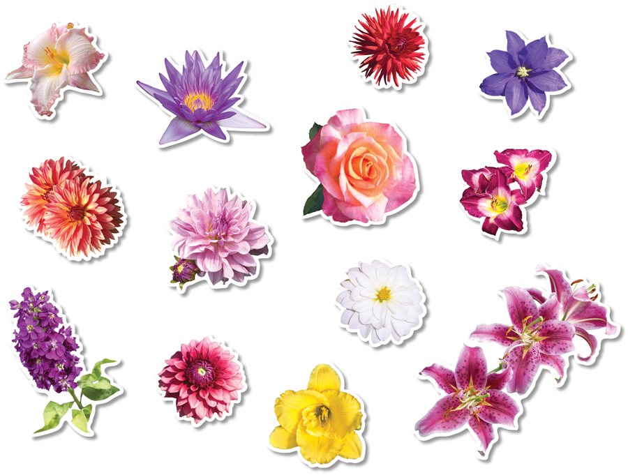 NS1014 Flower Garden Pop-Out - North Star Teacher Resources
