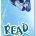 NS2008 Read to Succeed Bookmarks - OUT OF STOCK