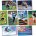 NS3058 Kids in Motion Bulletin Board Set