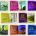 NS3126 Faith: Steadfast & Rooted Bulletin Board