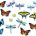 NS3213 Butterflies & Dragonflies Accents