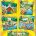 NS3302 Story Mapping Quick-Study Poster