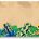 NS5051 Frogs Signs - OUT OF STOCK