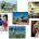 Oral & WrittenNS9000 Language Skills - Beginner Photo Language Cards