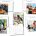NS9080 Daily Living Skills Progress Photo Language Cards - Out of Stock Discontinued