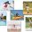 NS9085 Kids in Motion Photo Language Cards